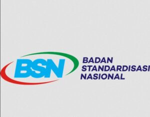 CPNS BSN 2021