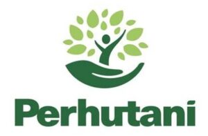 Perhutani