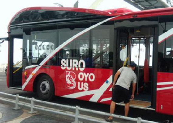 Rekrutmen Dishub Surabaya