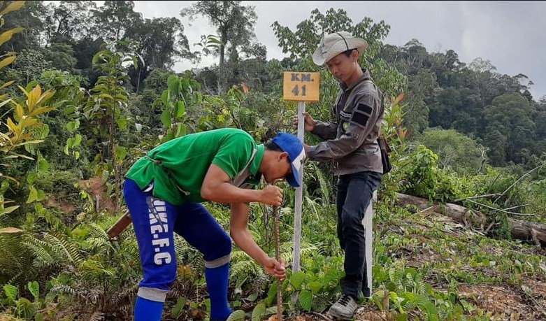 Rekrutmen Inhutani I