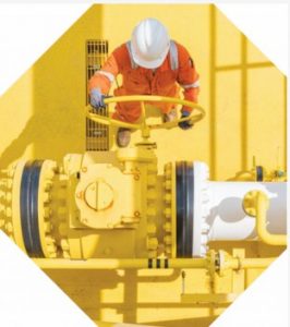 Lowongan PGN Perkasa