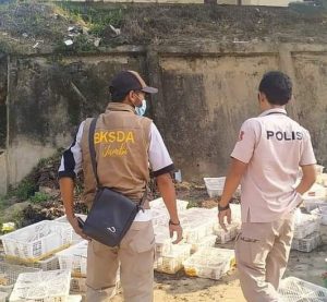 Lowongan Kerja BKSDA Jambi