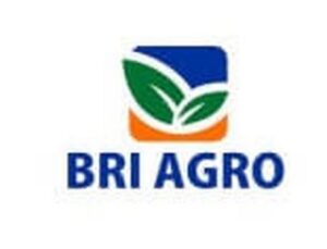 Lowongan Kerja BRI Agro Bandar Jaya