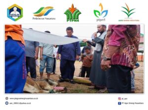 Lowongan Kerja PT Agro Sinergi Nusantara